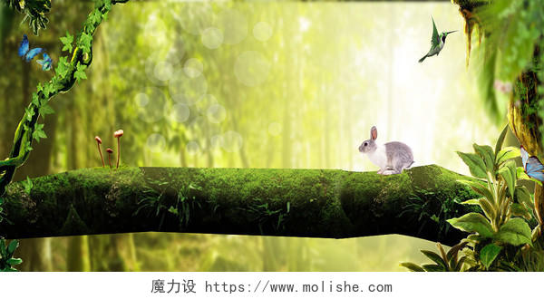绿色森林简约大树树干蝴蝶黄光兔子梦幻森林背景图